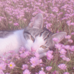 not a care in the world