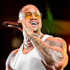 LEO SANTANA = ZONA DE PERIGO VS EU VOU SENTANDO = DJ DIEGO FAIXA PRETA