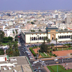 Leaf (Casablanca)