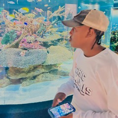 1:1