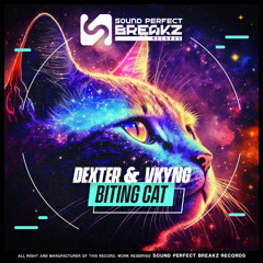 DEXTER & VKYNG BITING CAT (Original mix)
