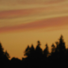 Looped In