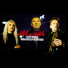 Zilele si Noptile (feat. Sebastian Subțire)