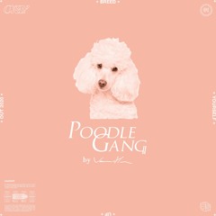 Poodle Gang #01