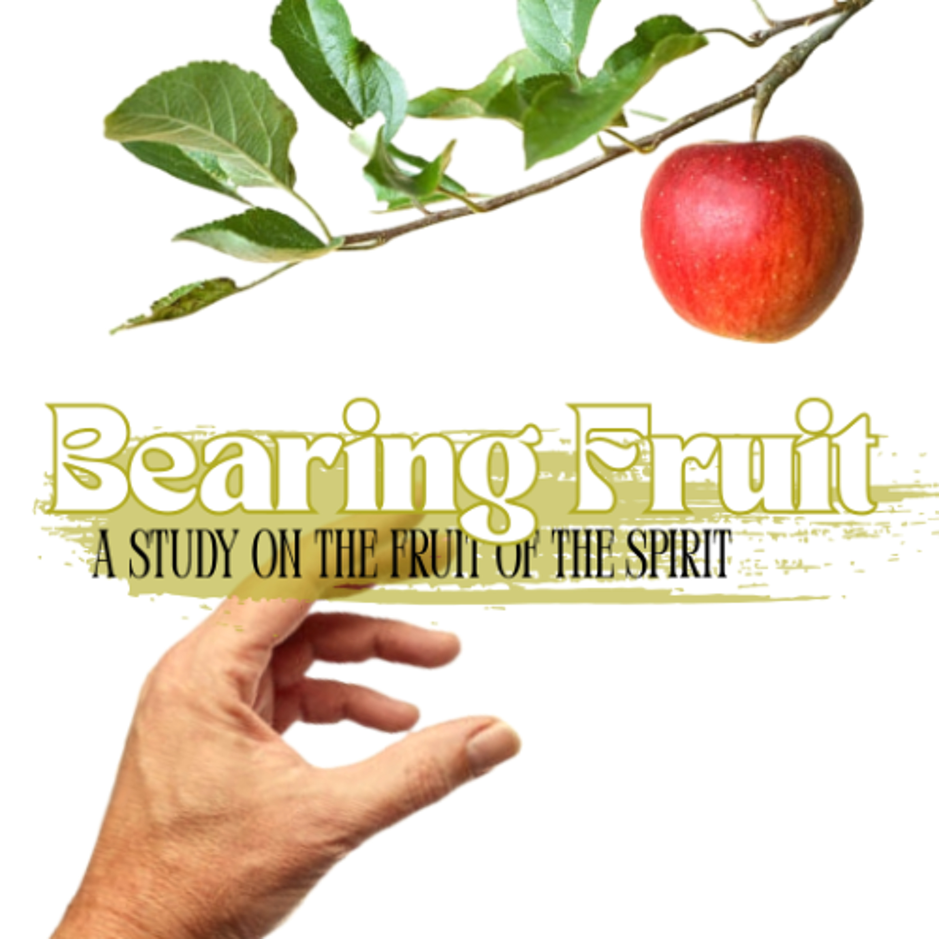 Bearing Fruit: Gentleness episode artwork
