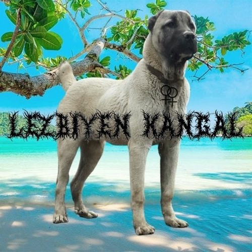 Lezbiyen Kangal - Die When You Die