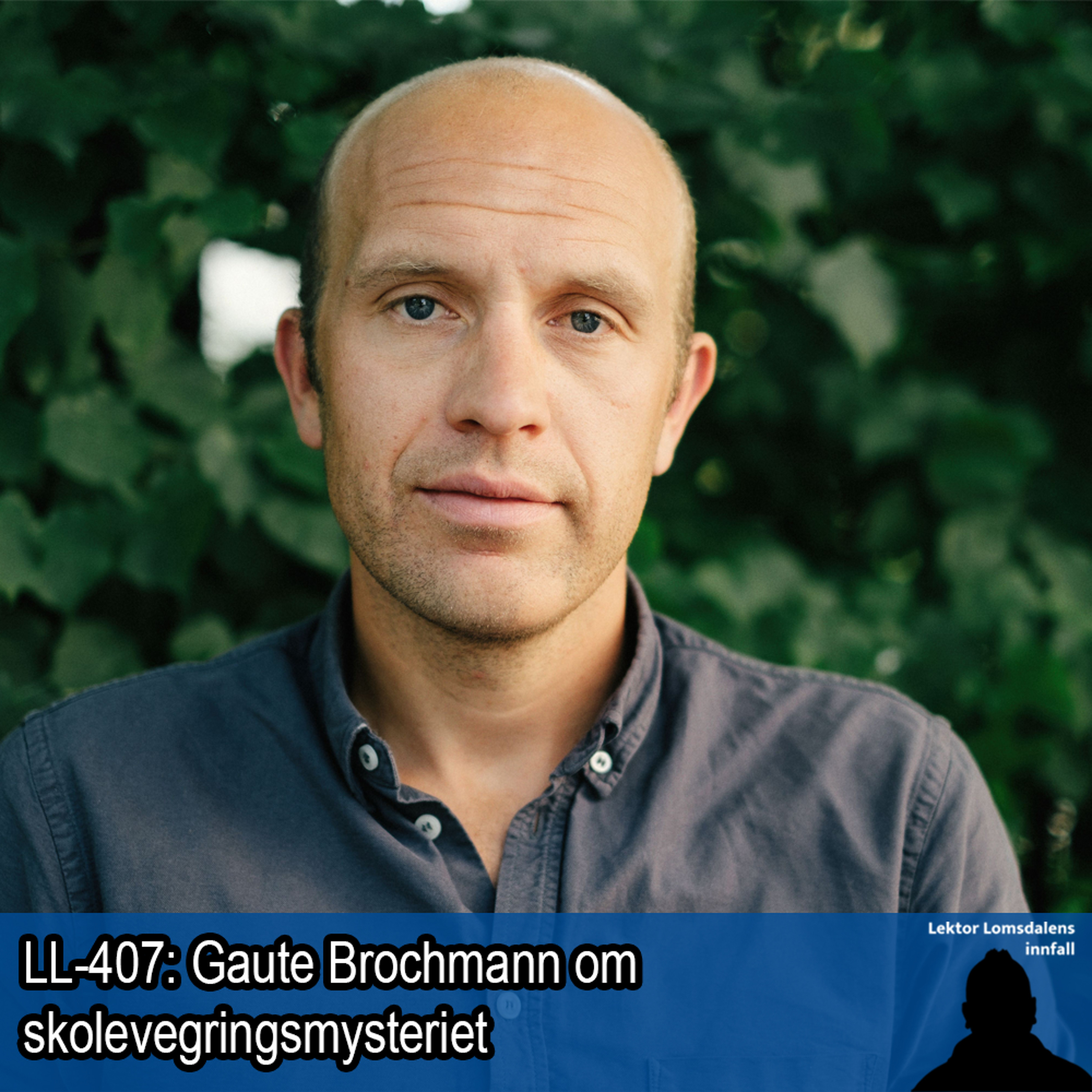 Lektor Lomsdalens innfall