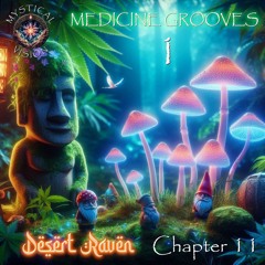 MYSTICAL VISION - CHPT 11 -  DESERT RAVEN - MEDICINE GROOVES 1