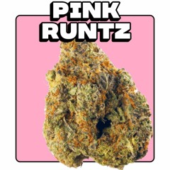 1990Morgue - Pink Runtz (Opus5) *KINGOFKINGSEP*