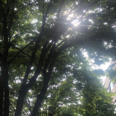 죽지 않은 연인에게