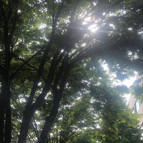 죽지 않은 연인에게