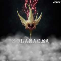 H4XH4X • Solanacea