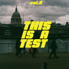 THIS IS A TEST vol.8