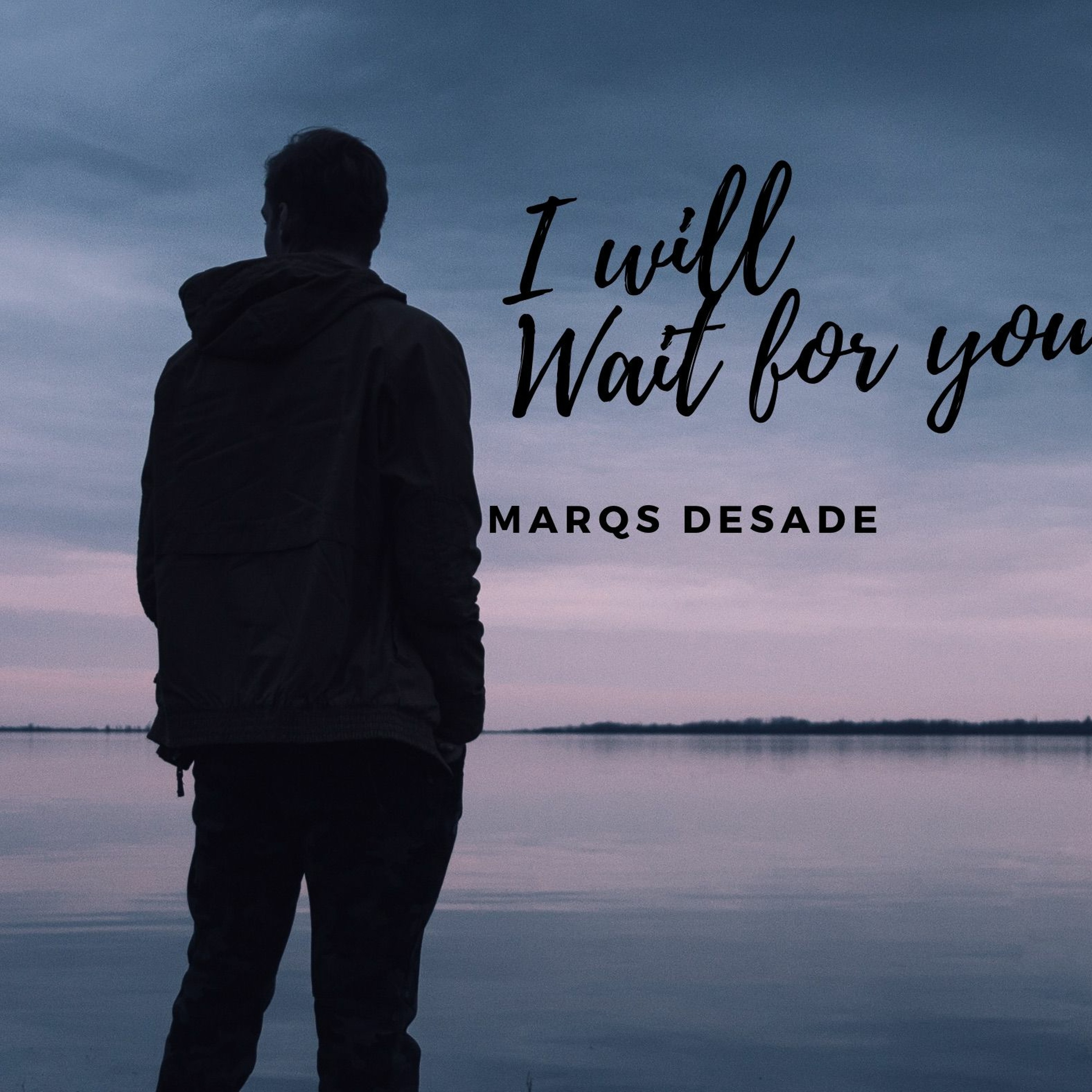 I Will Wait For You episode artwork