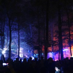 Mr. RiNi's Unmaskd Series #003 - Dreamy Jungle Mix