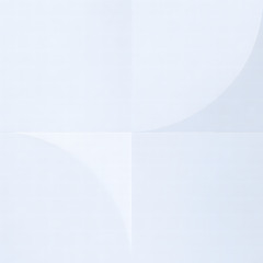 Shiro