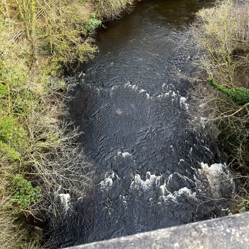 Now Youre Gone (Speed Up)