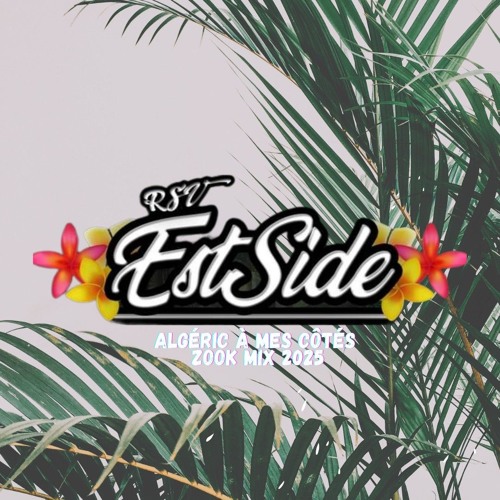 ES RSV-A Mes Côtés Zook mix 2025.mp3