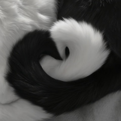 Everything Is Romantic (Slowed)