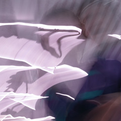 INTO DUST V1