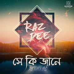 Raz Dee - Shey Ki Janey (feat. Tanveer Evan) (Lo-fi Remix)