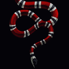 Bravo De Blanco - plottin On Me