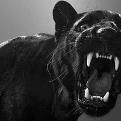 ØTTA - Silence is Oppression [POSS005]