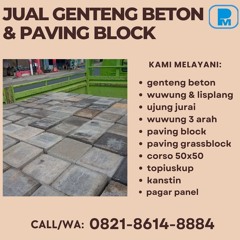 Paving Block Lubang  Memadukan Keindahan Dan Ketahanan (2)