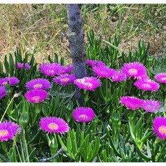 Just Want To Let You Know