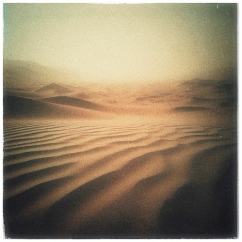 L'appel du désert