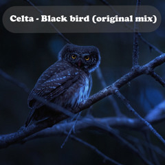 Celta - Black Bird (Original Mix)