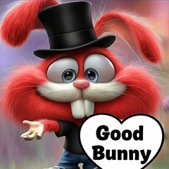 BAD BUNNY GONE BAD......BUNNY !!
