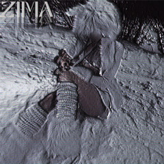 OSTATNIA ZIMA [FT.ZIEMINSKA]