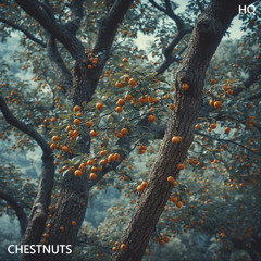 Chestnuts - Golden Beats LP