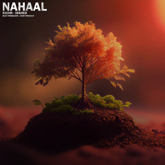NAHAAL [FT Radin]