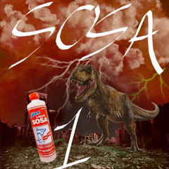 Sosa 1