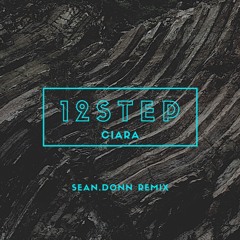 12STEP - (Sean.Donn Remix)