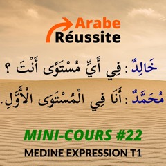 LA DÉCLINAISON des noms qui se terminent par LA LETTRE "ALIF" (ا) ? MC22