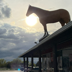 A passenger in Raton