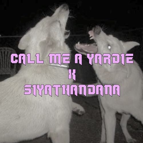 CALL ME A YARDIE // amapiano edit