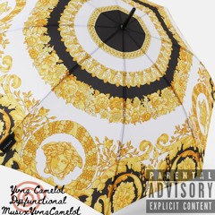 dysfunctional (Camelot on the track)