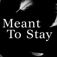 Meant To Stay (Alt Rock Version)