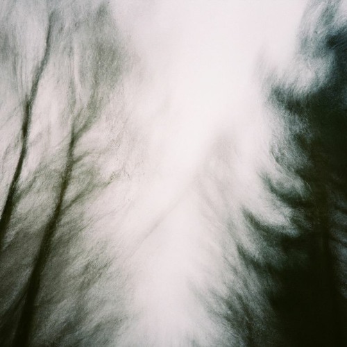 Dialecto de Árbol no.6 ("Tree Dialect no.6") -for 8 voices and electronics