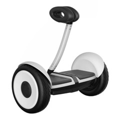 giroskuter-3