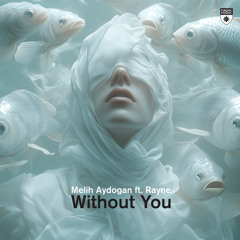Without You (feat. Rayne)