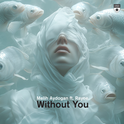Without You (feat. Rayne)