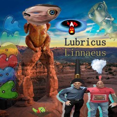 Midwest Weekly - Cross Your Mind (Mr. Werm Flip)