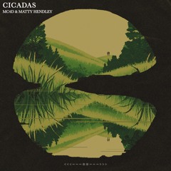 MC4D & Matty Hendley - Cicadas