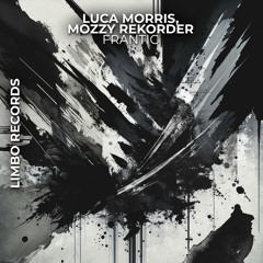 Luca Morris , Mozzy Rekorder - Frantic (Radio Edit)