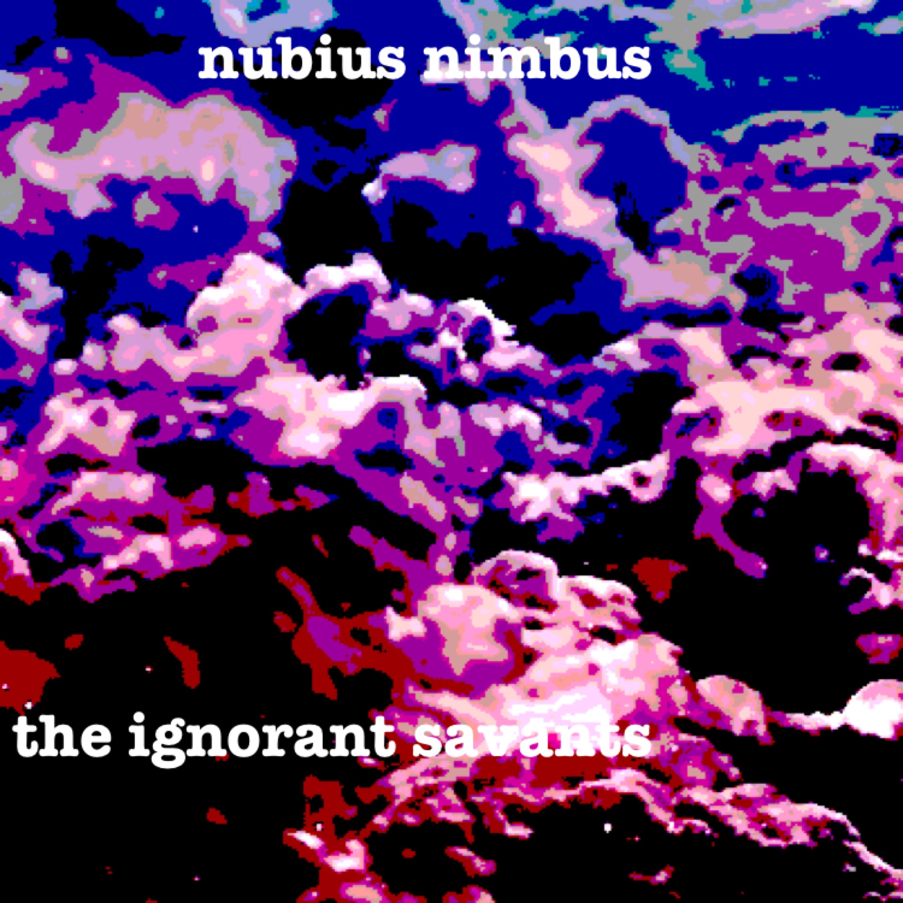 the ignorant savants